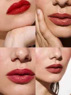 Rouje Lip Palettesnew<La Palette Madame