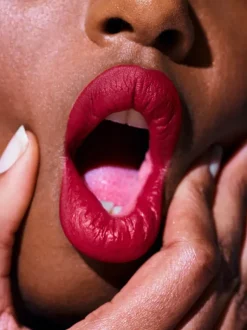 Rouje Creamy Lip Colors<Le Velours Camille